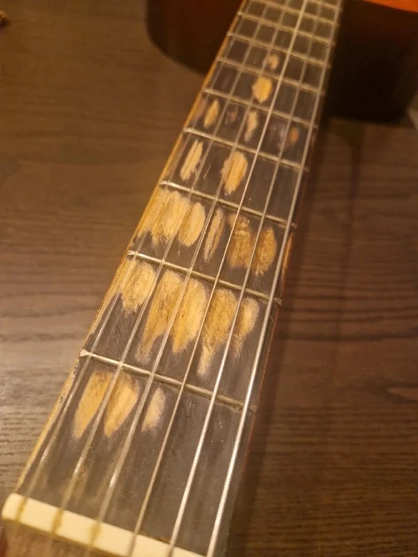 33 Transformations Eternally Shaped by the Influence of Time