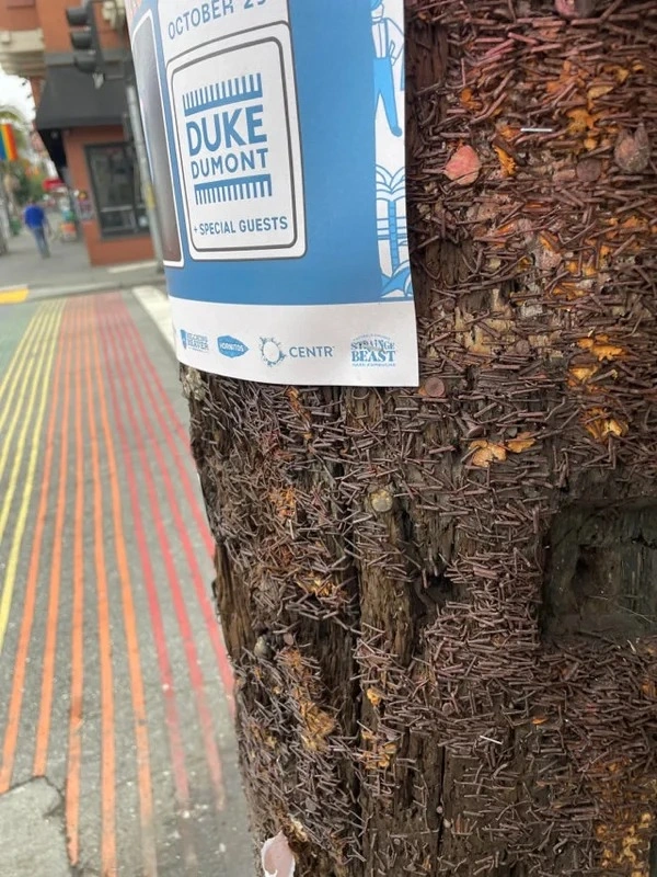 33 Transformations Eternally Shaped by the Influence of Time