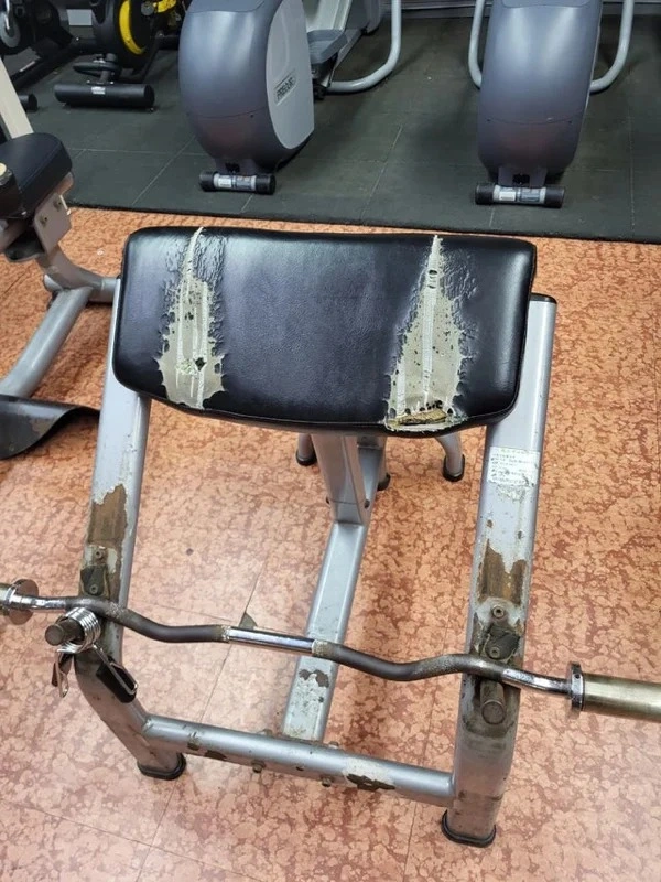 33 Transformations Eternally Shaped by the Influence of Time