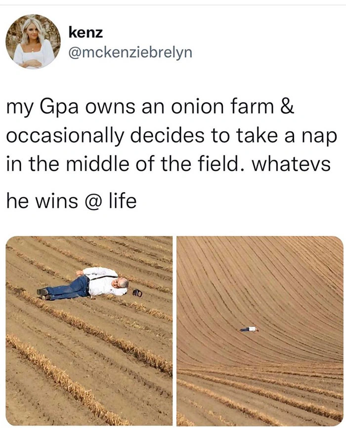 20 Uplifting Images and Heartwarming Memes to Revitalize Your Weary Spirit