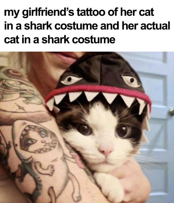 20 Uplifting Images and Heartwarming Memes to Revitalize Your Weary Spirit