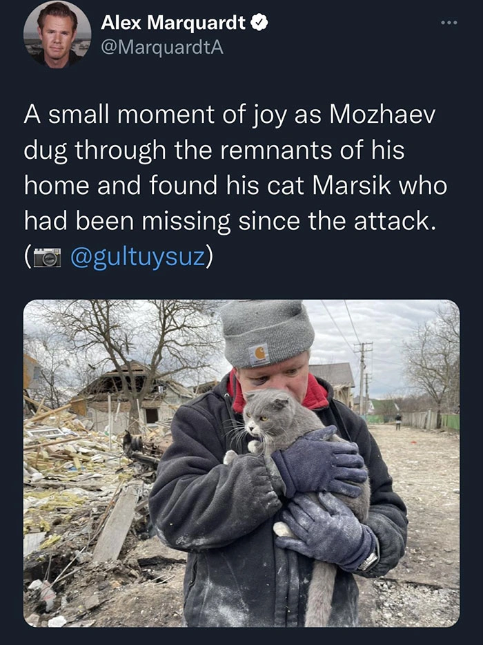 20 Uplifting Images and Heartwarming Memes to Revitalize Your Weary Spirit