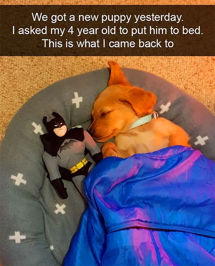 20 Uplifting Images and Heartwarming Memes to Revitalize Your Weary Spirit