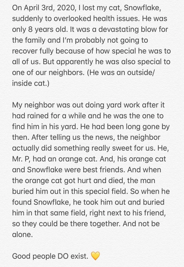 29 Uplifting Images and Positive Memes to Bring Joy to Your Day