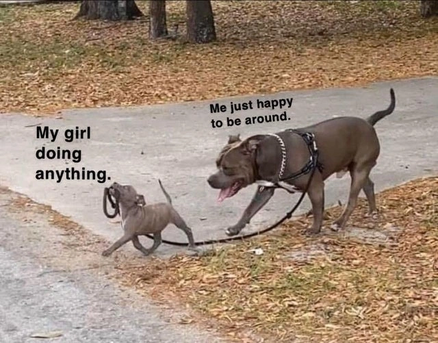 29 Uplifting Images and Positive Memes to Bring Joy to Your Day