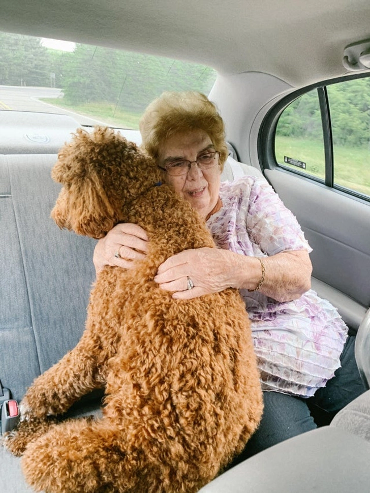 19 Everyday Heroes Who Deserve Some Recognition