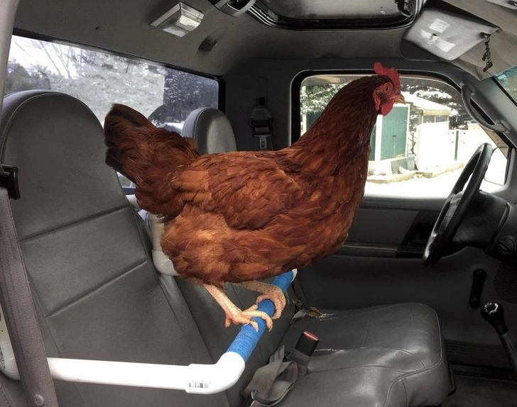 19 Everyday Heroes Who Deserve Some Recognition