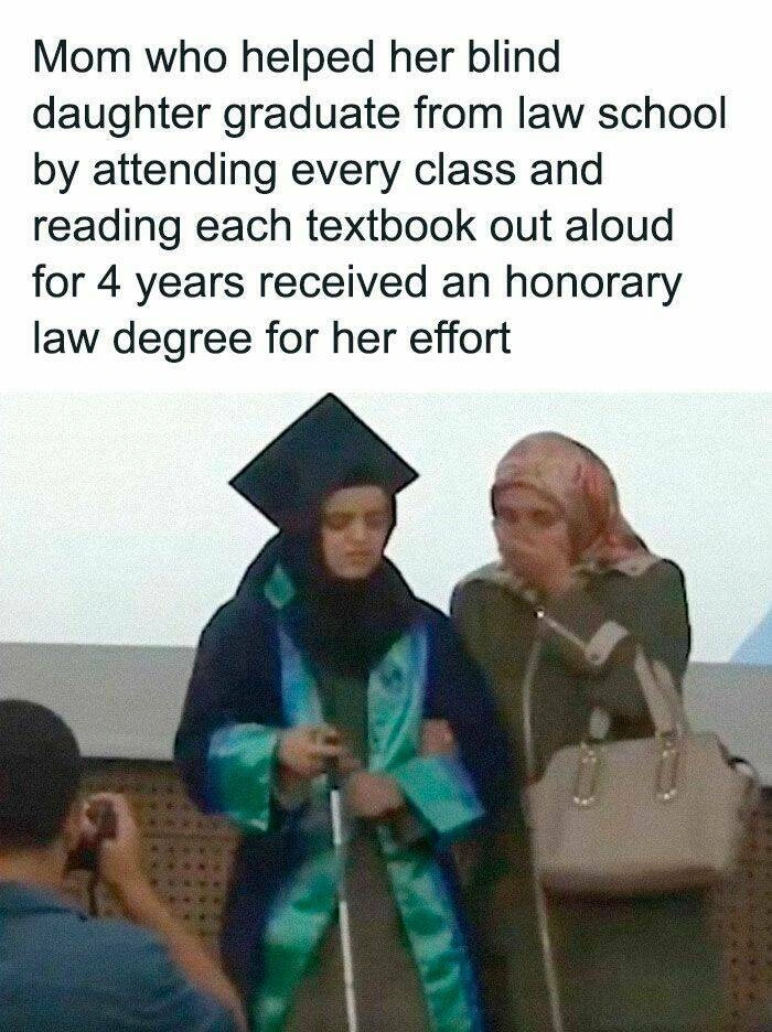 41 Heartwarming Tales and Images to Brighten Your Day