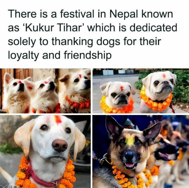 41 Heartwarming Tales and Images to Brighten Your Day