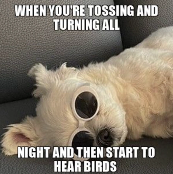 22 Memes That Hit Us Right in the Feels - So True!