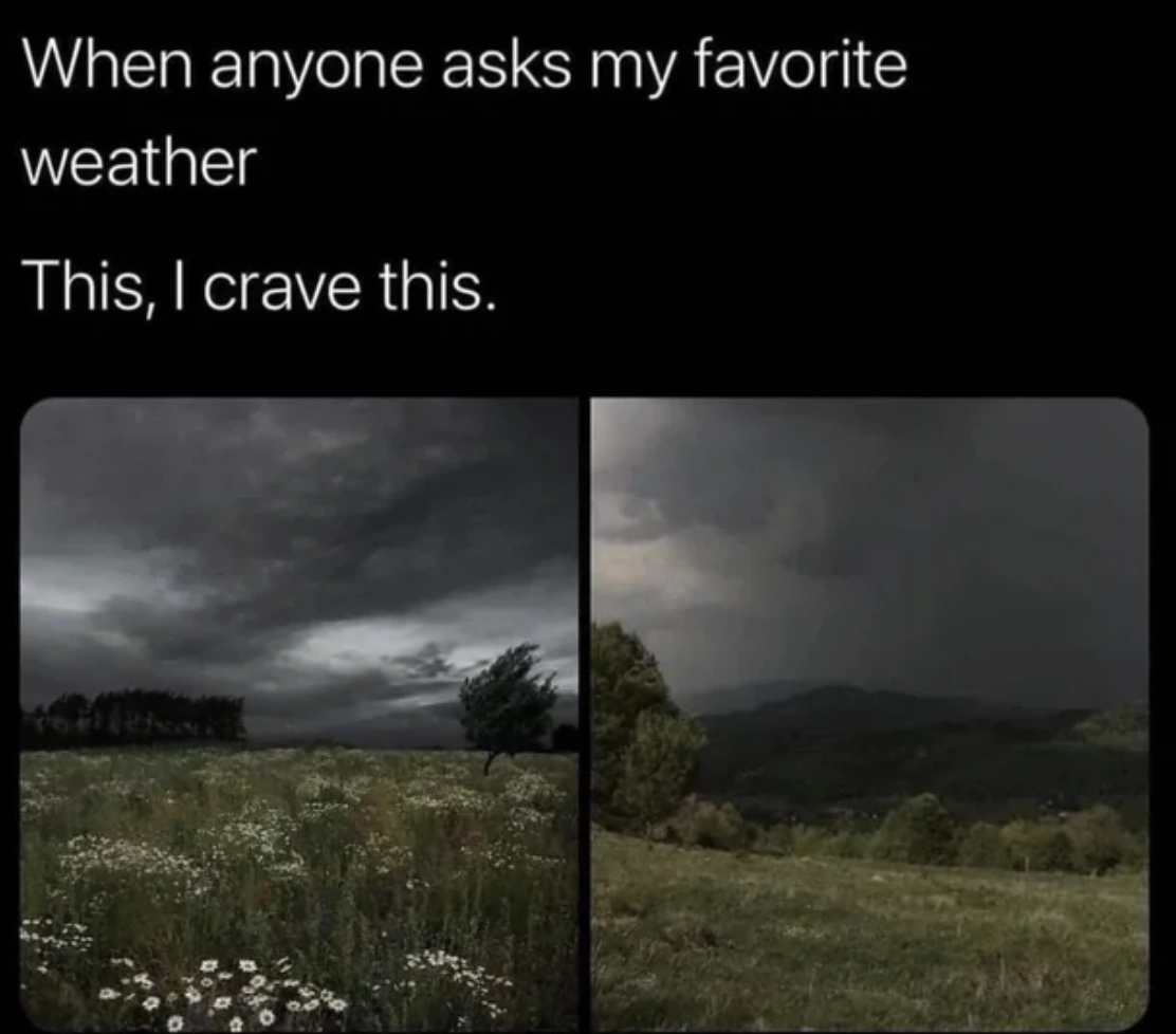 22 Memes That Hit Us Right in the Feels - So True!