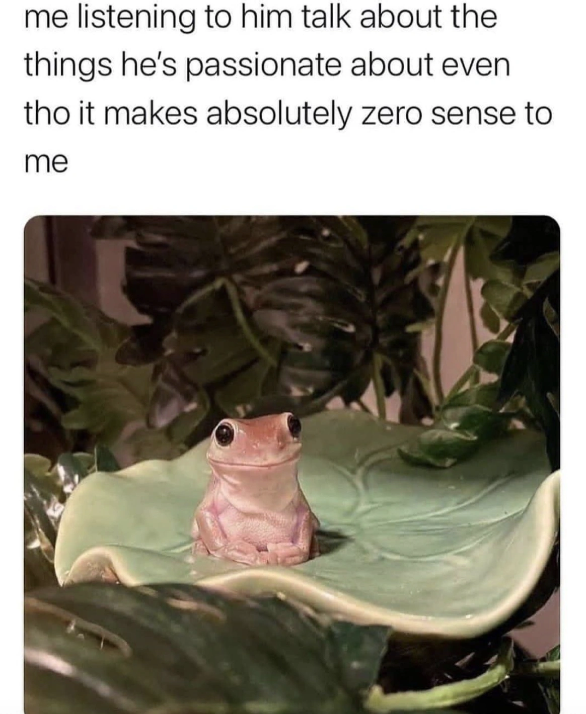28 Relationship Memes to Mend Any Argument
