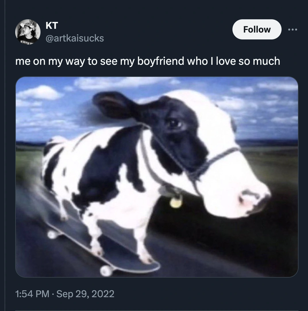 28 Relationship Memes to Mend Any Argument