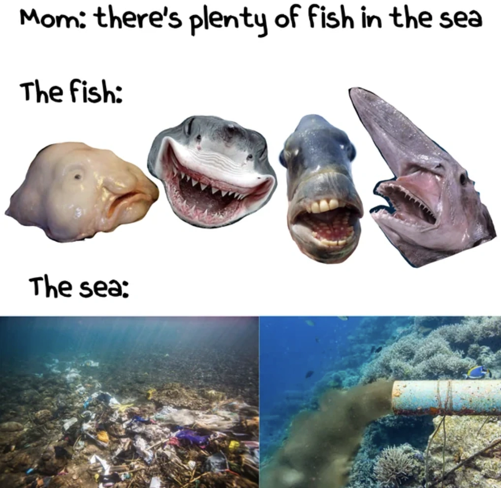28 Unexpected Things to Brighten Your Day Completely