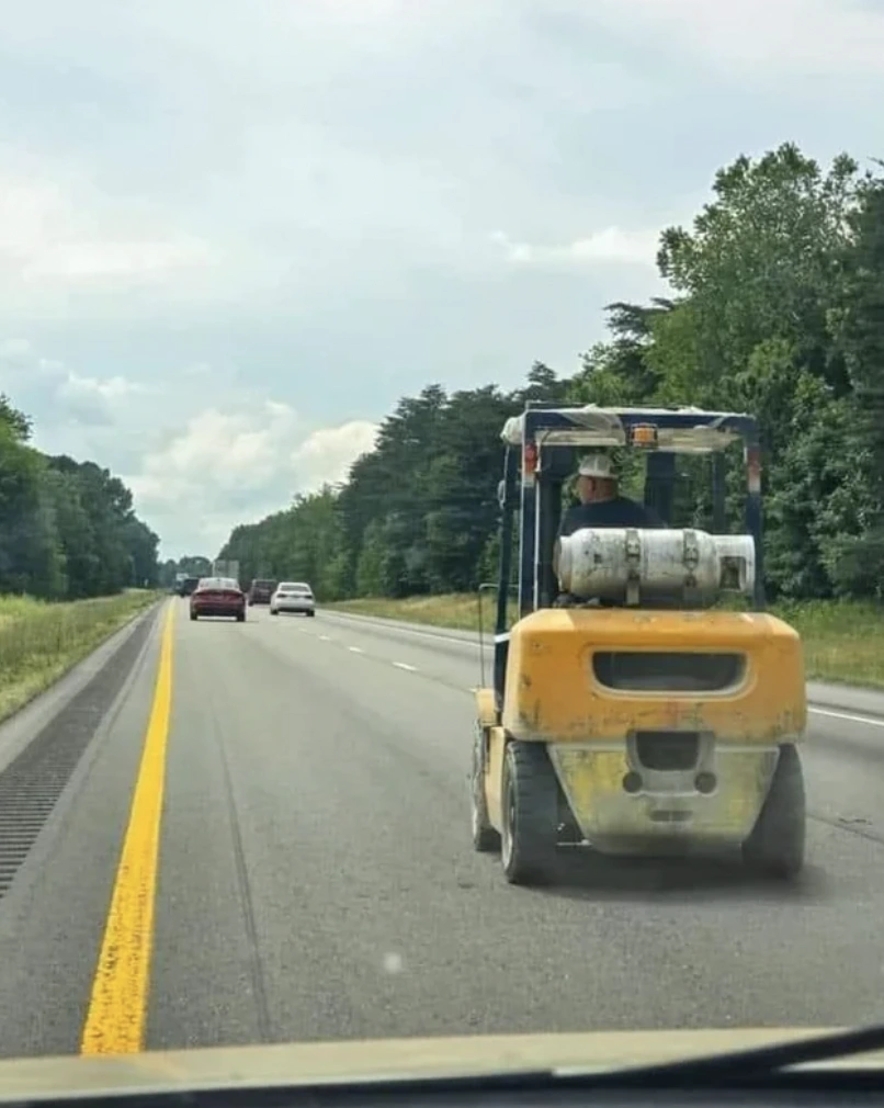 28 Unexpected Things to Brighten Your Day Completely