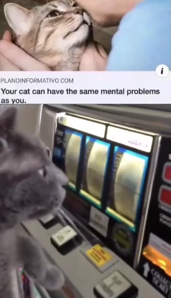 28 Unexpected Things to Brighten Your Day Completely