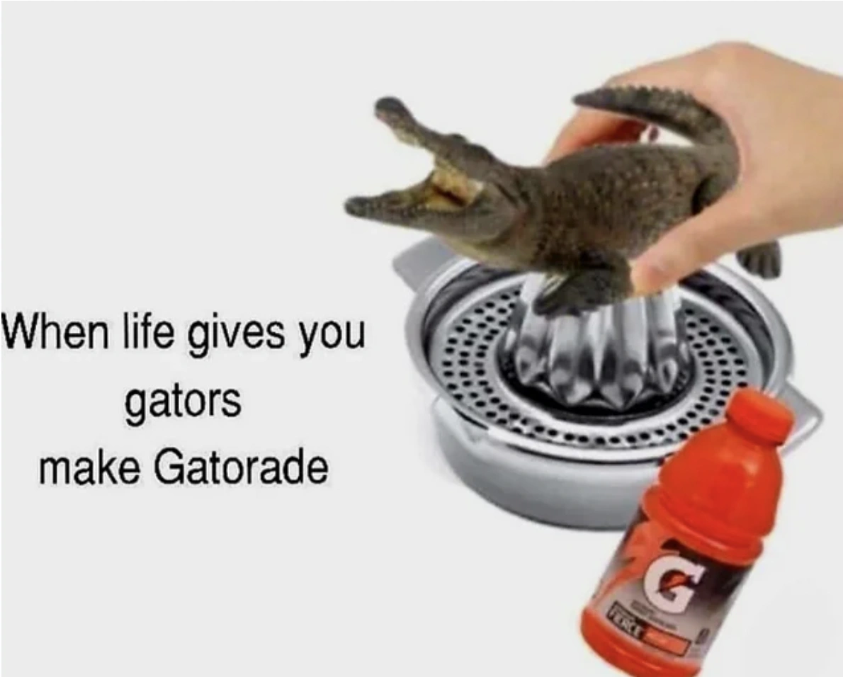 28 Unexpected Things to Brighten Your Day Completely