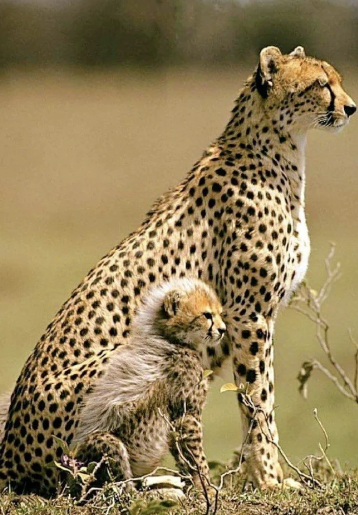 Kickstart Your Friday: 42 Unexpected Surprises to Spice Up Your Morning Coffee
