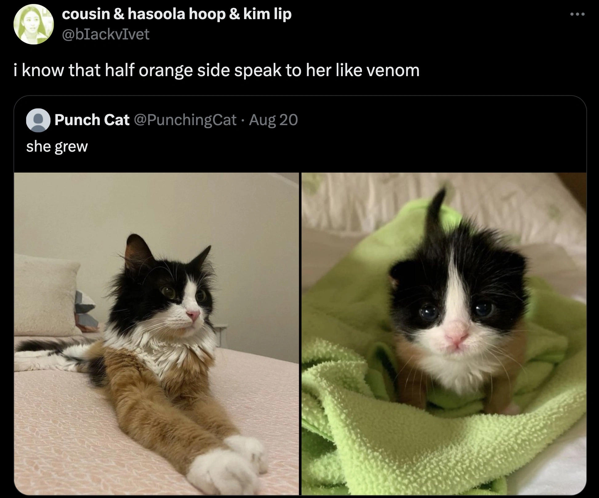 32 Captivating Images and Memes for Discerning Individuals