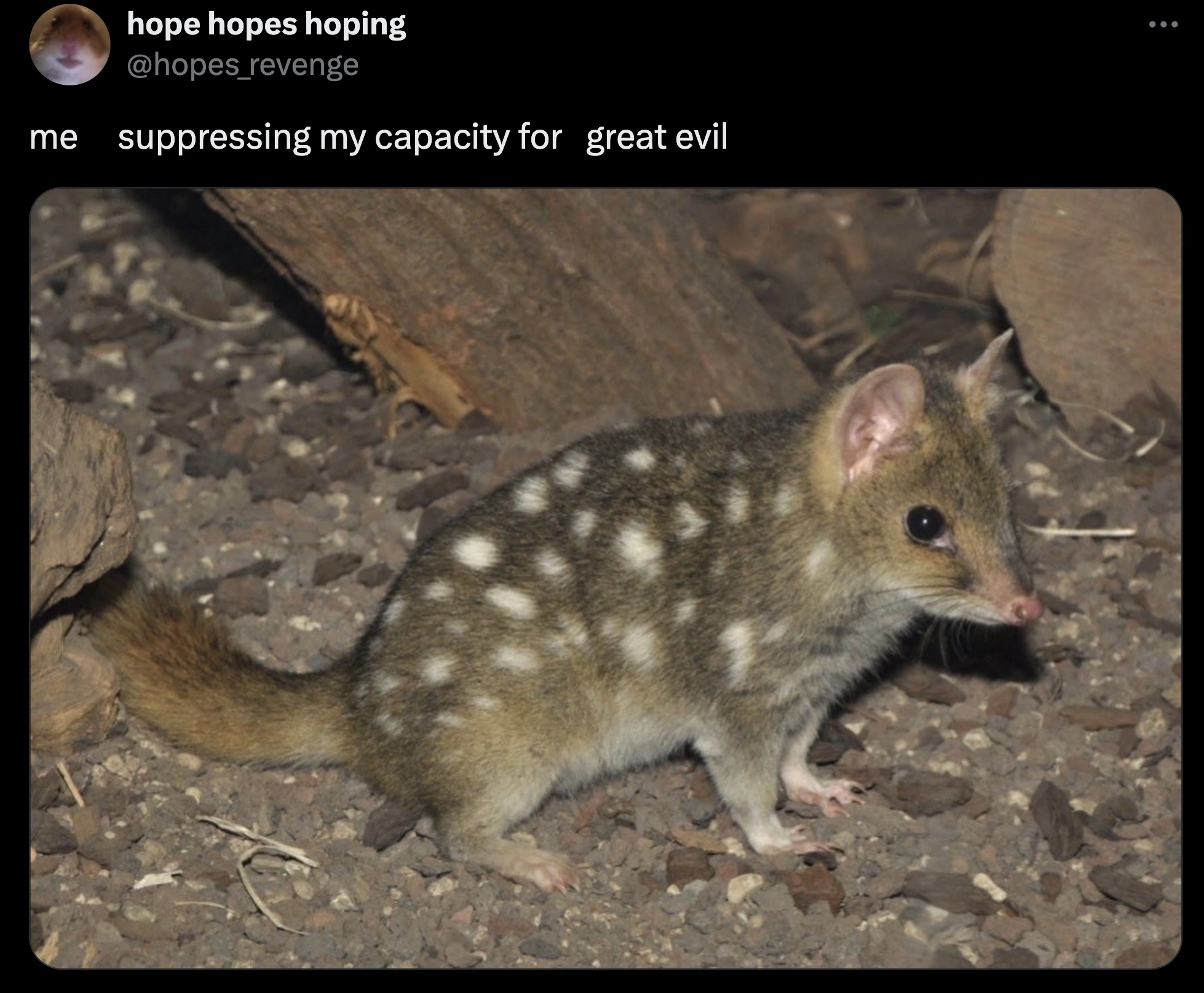 32 Captivating Images and Memes for Discerning Individuals