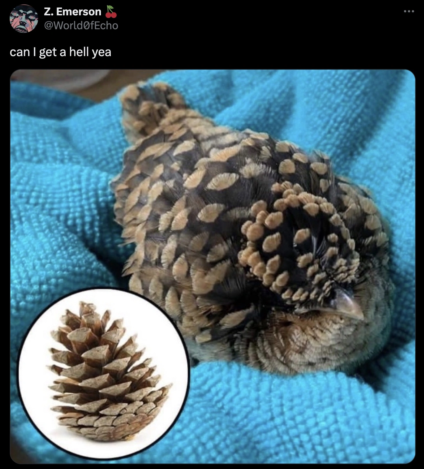 32 Captivating Images and Memes for Discerning Individuals