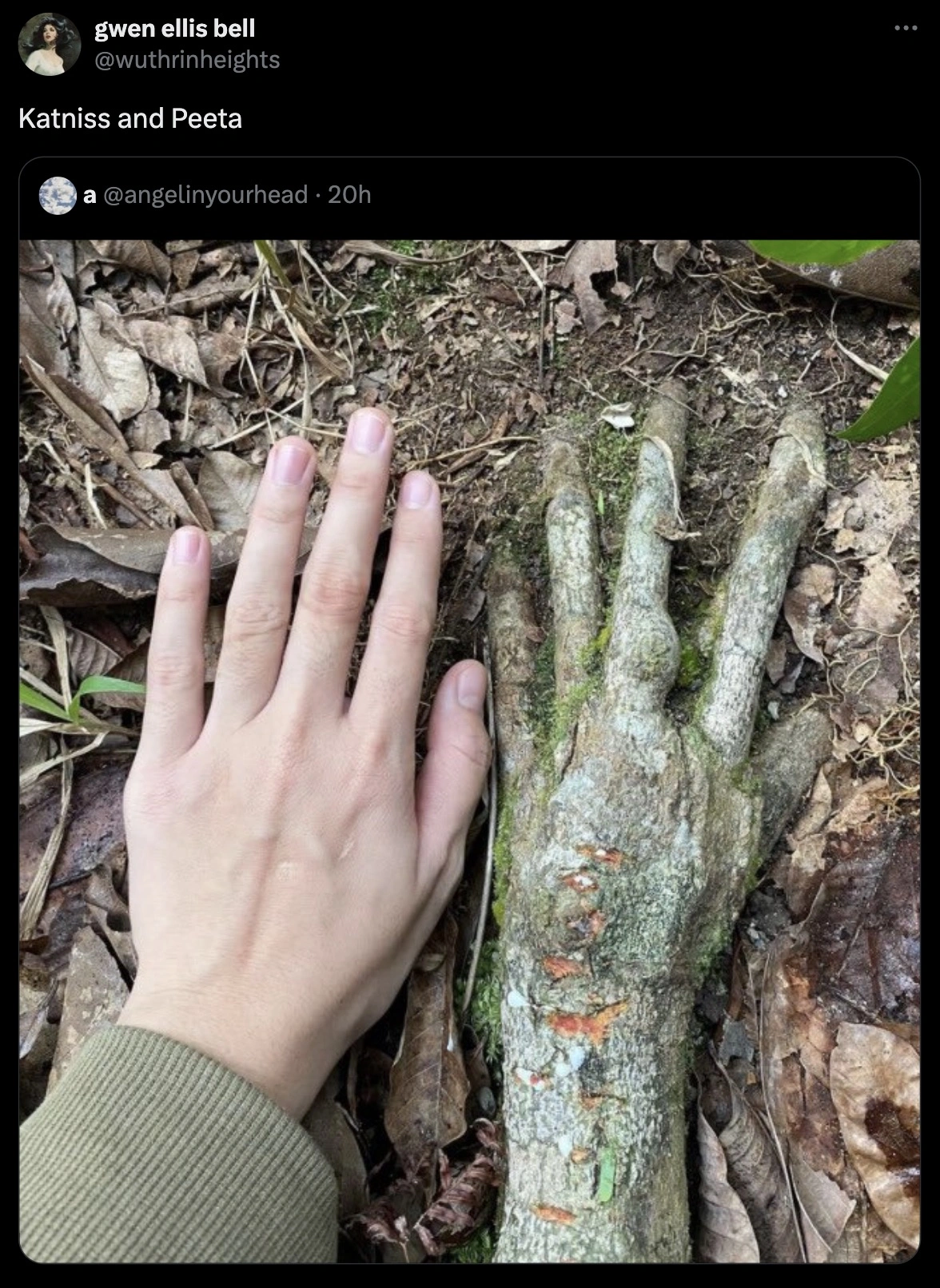 32 Captivating Images and Memes for Discerning Individuals