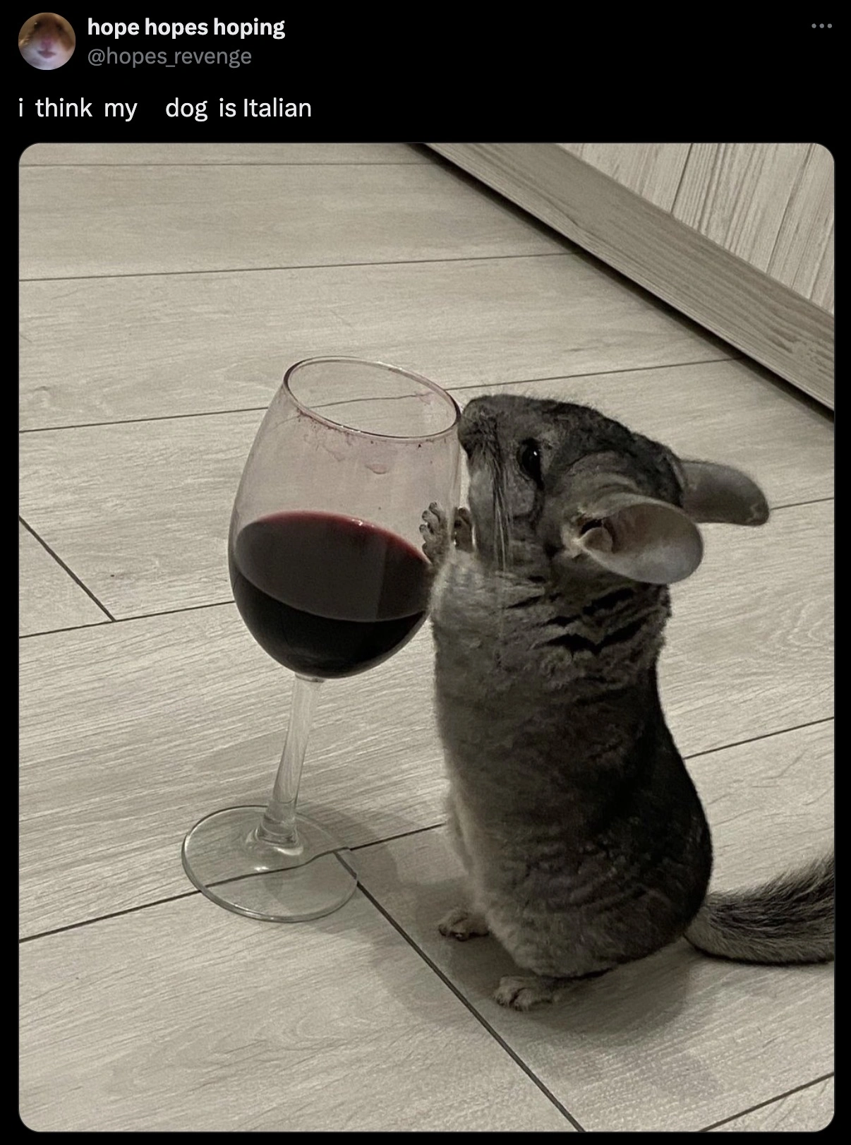 32 Captivating Images and Memes for Discerning Individuals