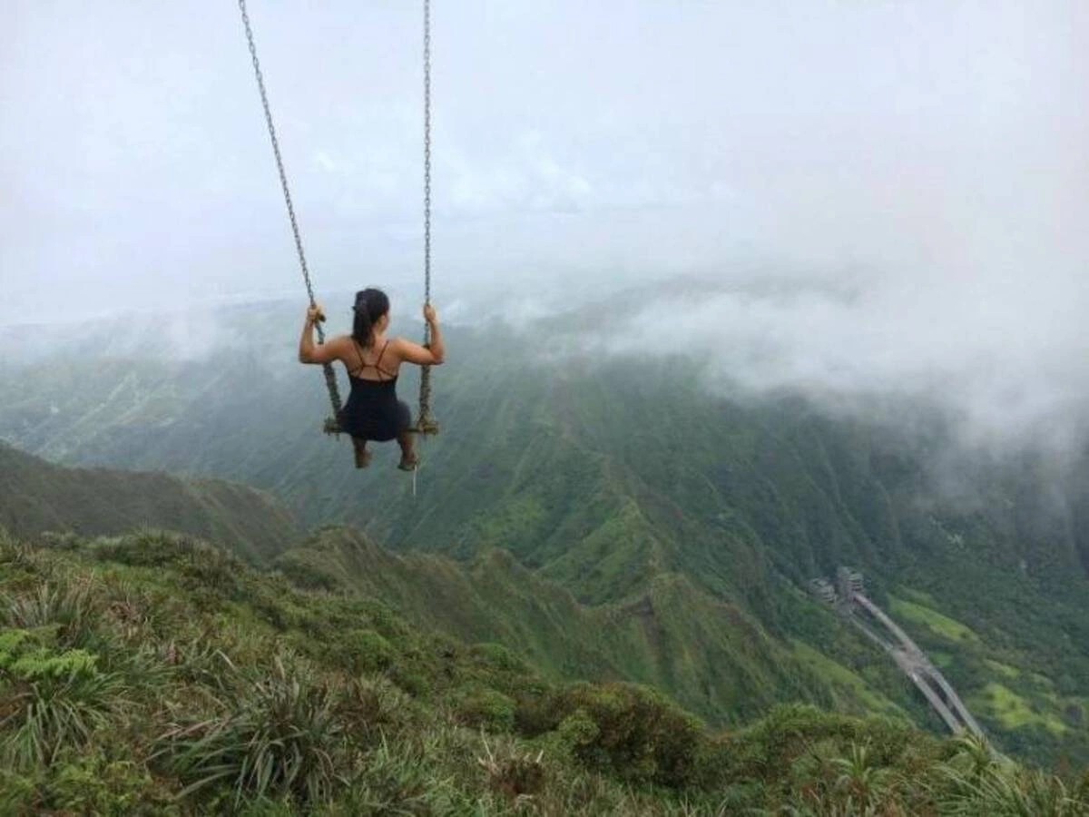 33 High-Quality Images and Interesting Finds to Brighten Your Day