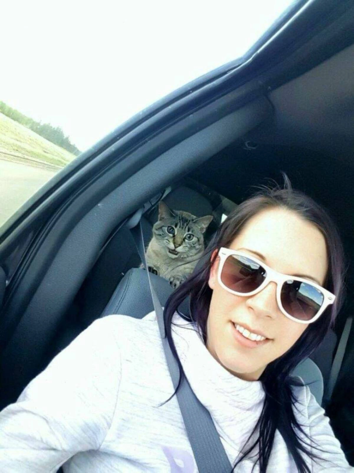 33 High-Quality Images and Interesting Finds to Brighten Your Day