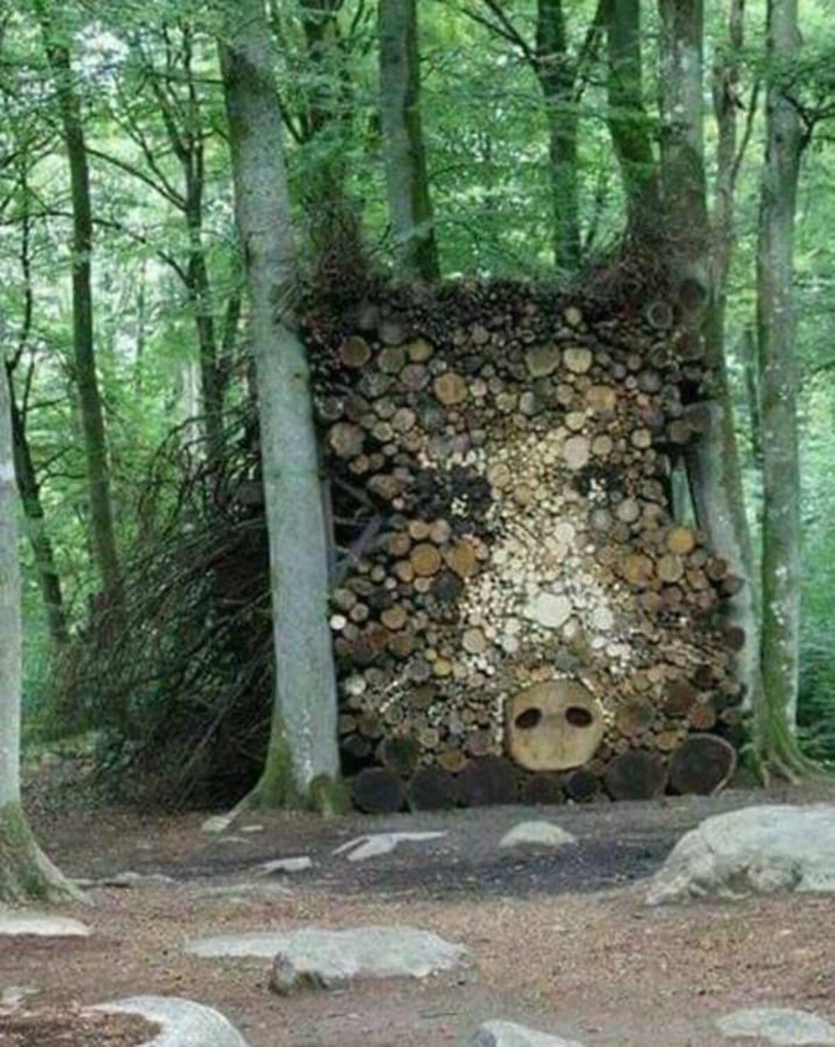 33 High-Quality Images and Interesting Finds to Brighten Your Day