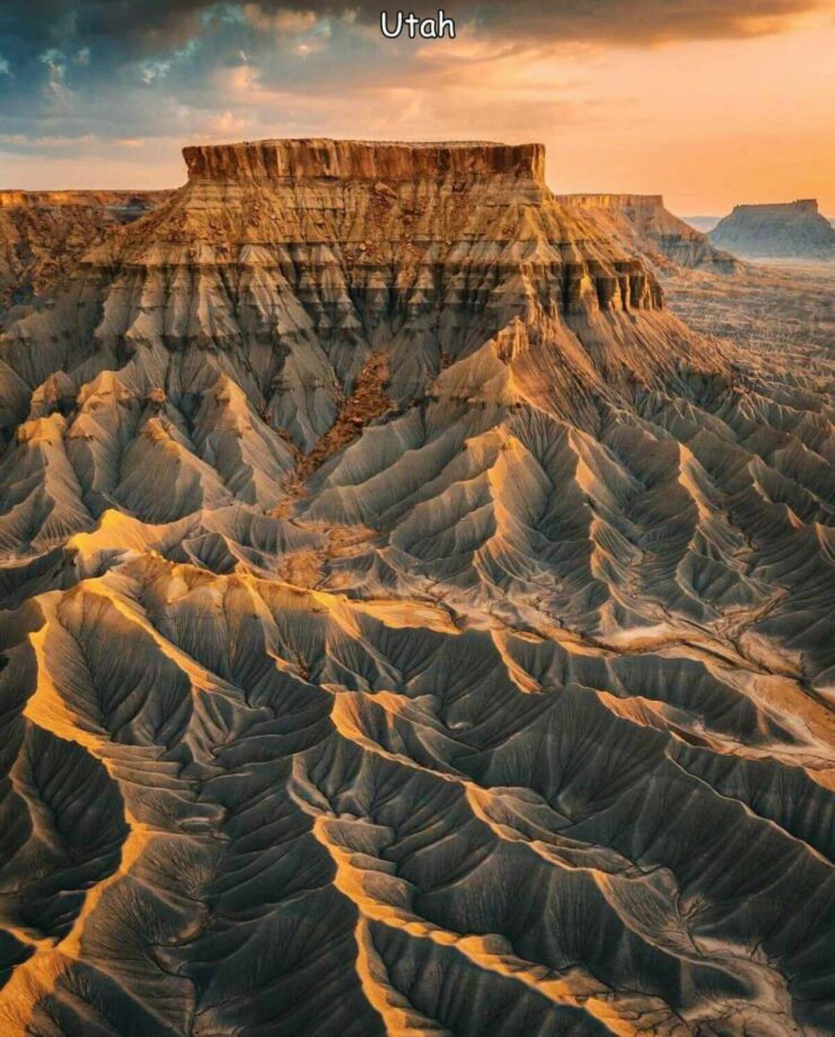 33 High-Quality Images and Interesting Finds to Brighten Your Day