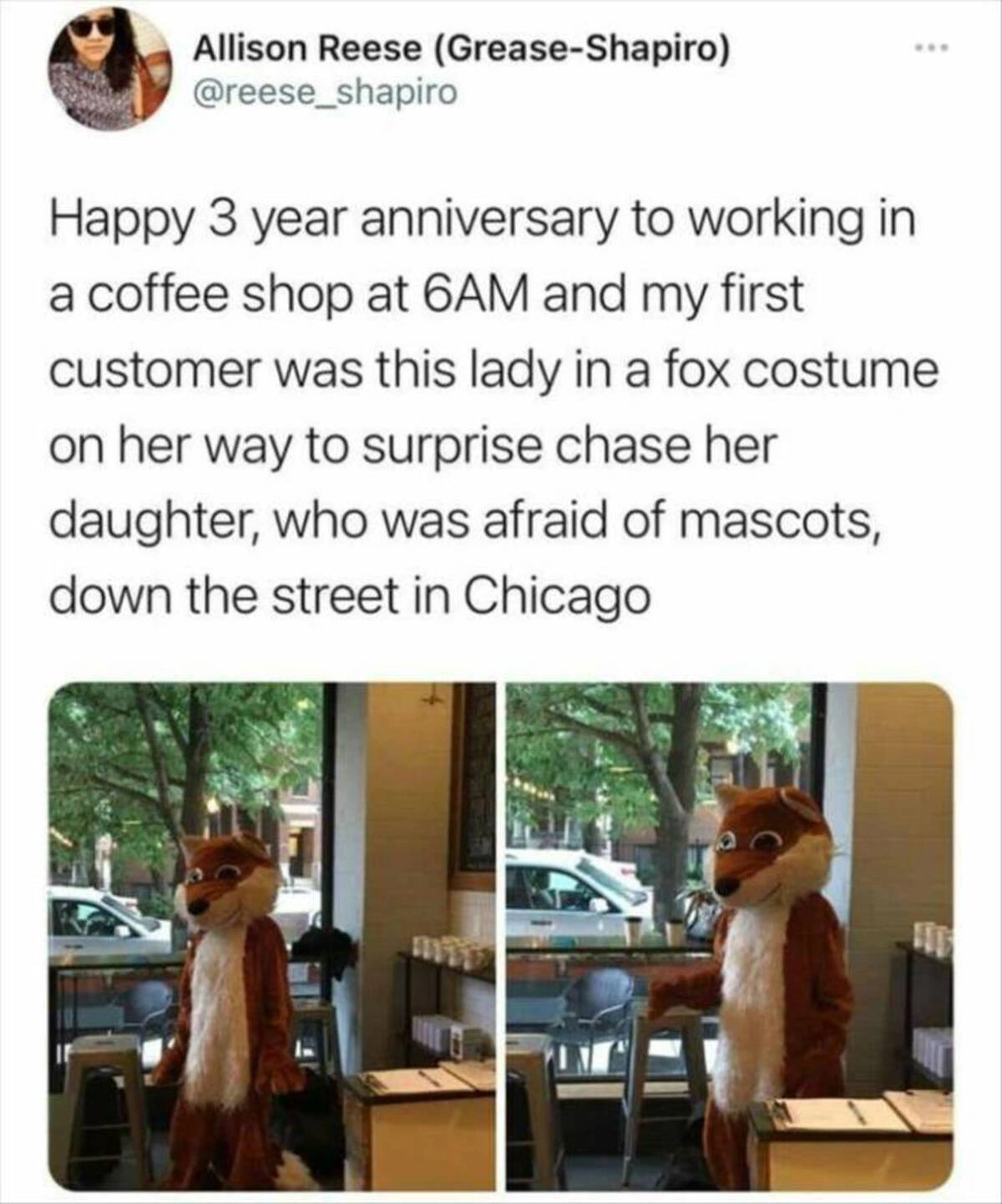 Start Your Week with a Smile: 40 Fun and Random Photos to Kickstart Your Monday Morning
