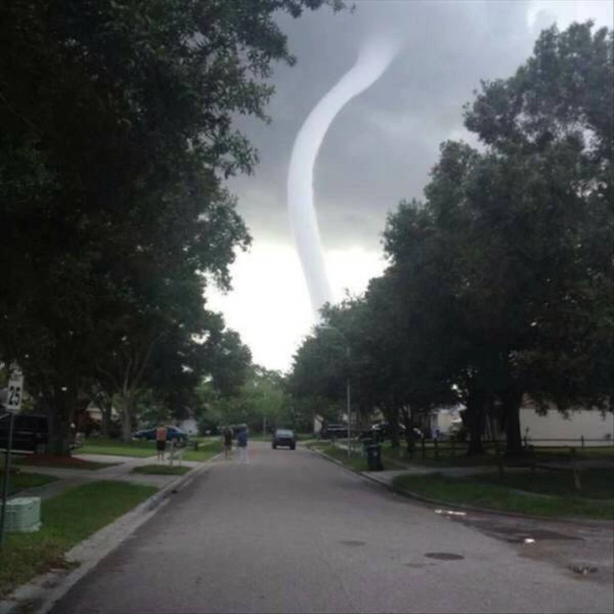 Start Your Week with a Smile: 40 Fun and Random Photos to Kickstart Your Monday Morning
