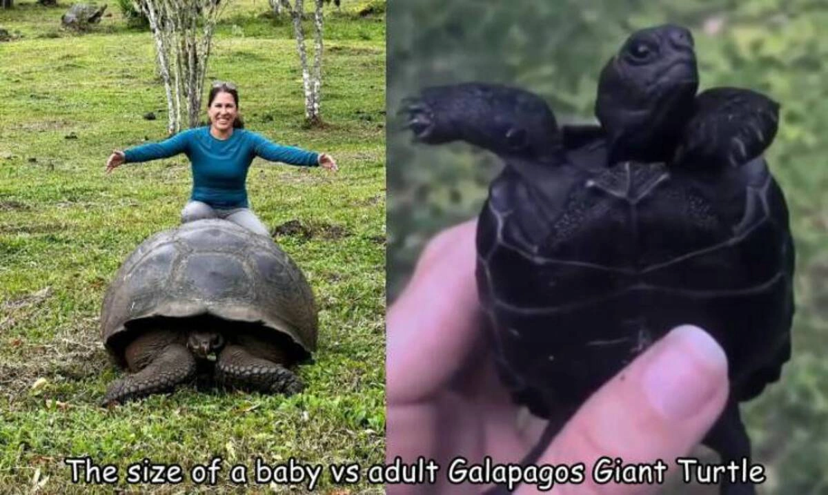 Start Your Week with a Smile: 40 Fun and Random Photos to Kickstart Your Monday Morning