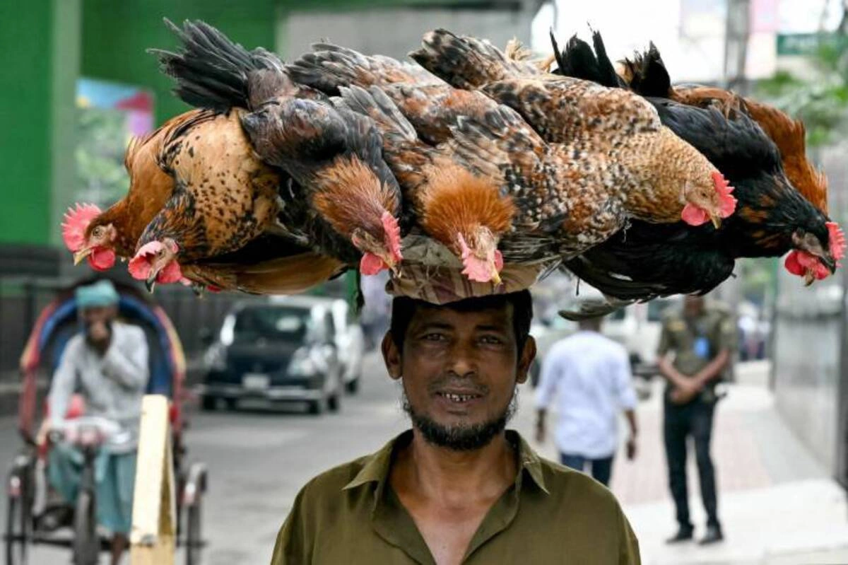 Start Your Week with a Smile: 40 Fun and Random Photos to Kickstart Your Monday Morning