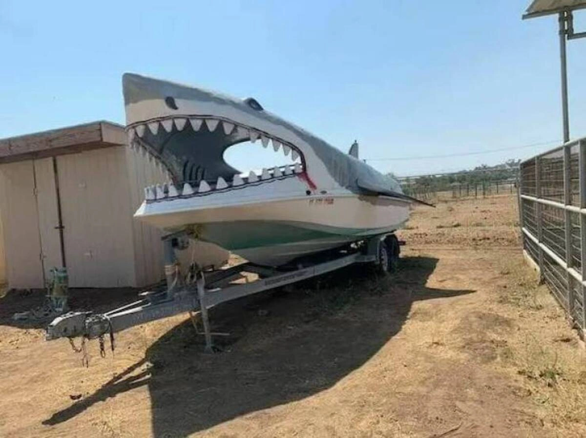 Start Your Week with a Smile: 40 Fun and Random Photos to Kickstart Your Monday Morning