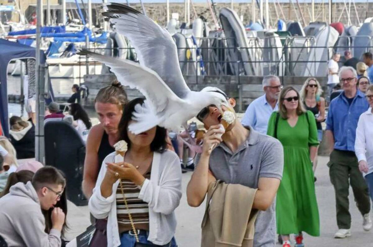 Start Your Week with a Smile: 40 Fun and Random Photos to Kickstart Your Monday Morning