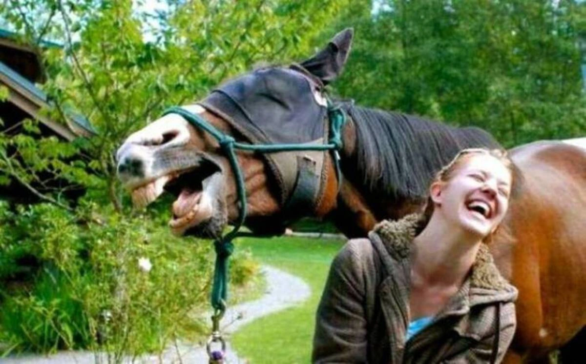 24 Quirky and Offbeat Images Without Any Connection Needed