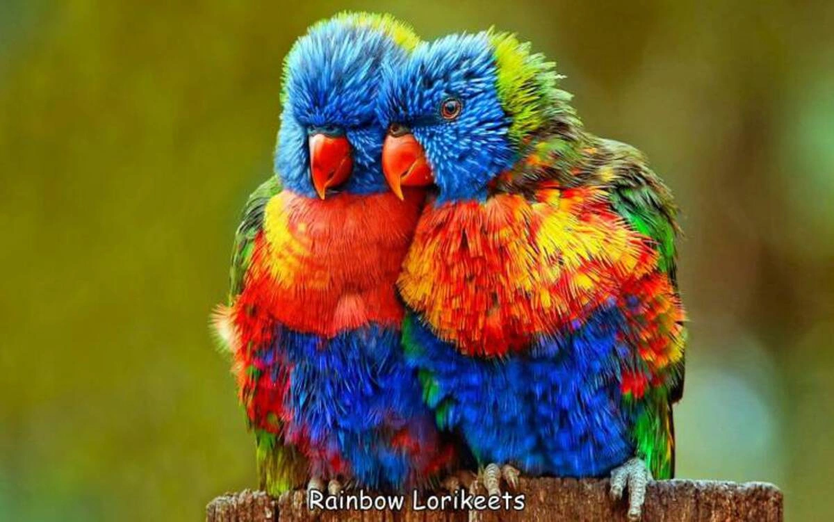 24 Quirky and Offbeat Images Without Any Connection Needed