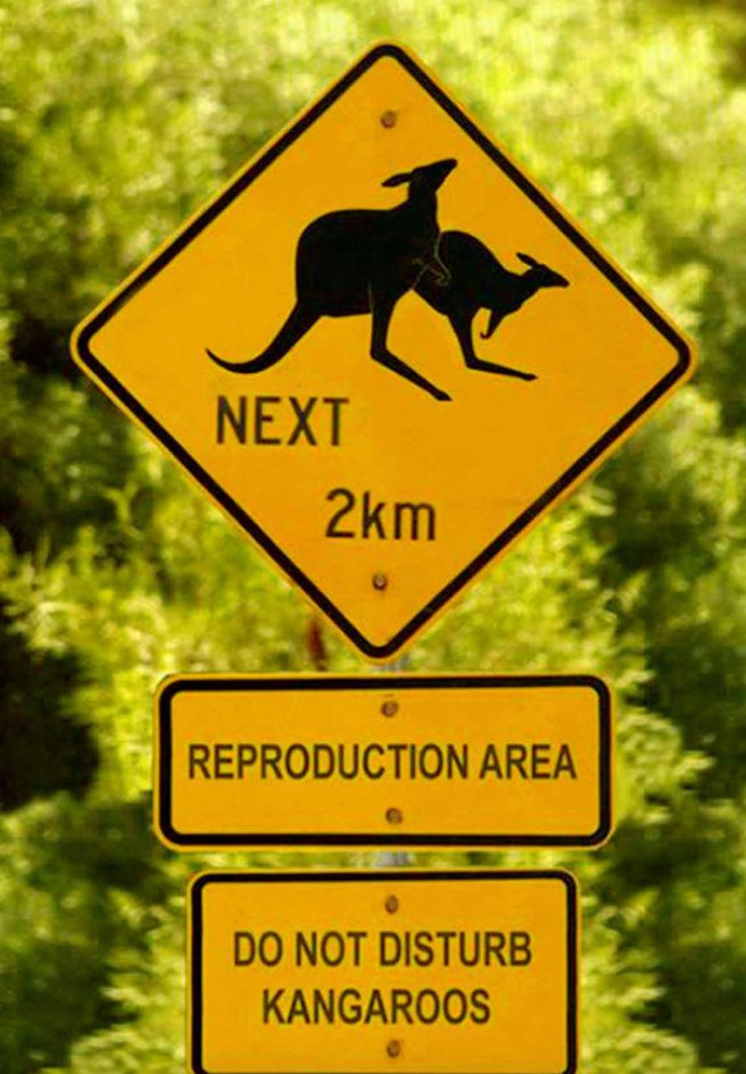 21 Road Signs That Could Be Misinterpreted as Innuendos