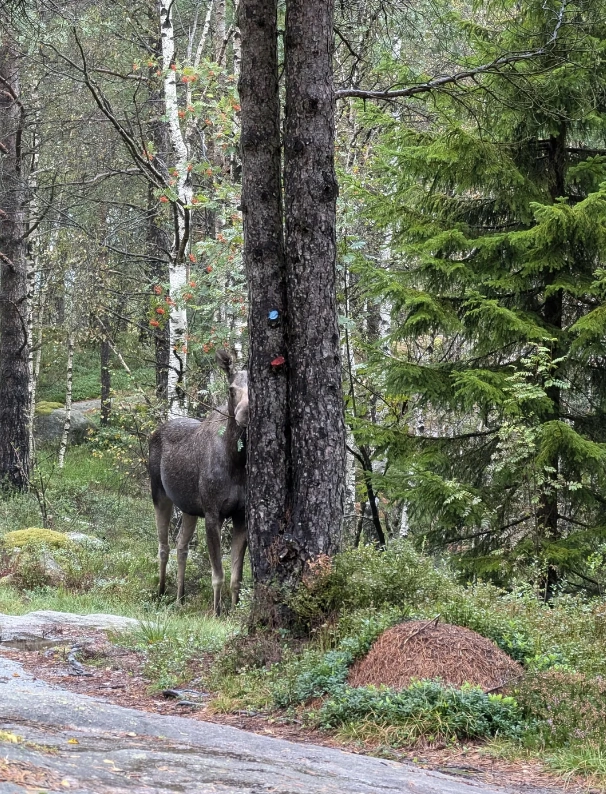 Tuesday's Top 32 Random Picks to Brighten Your Day