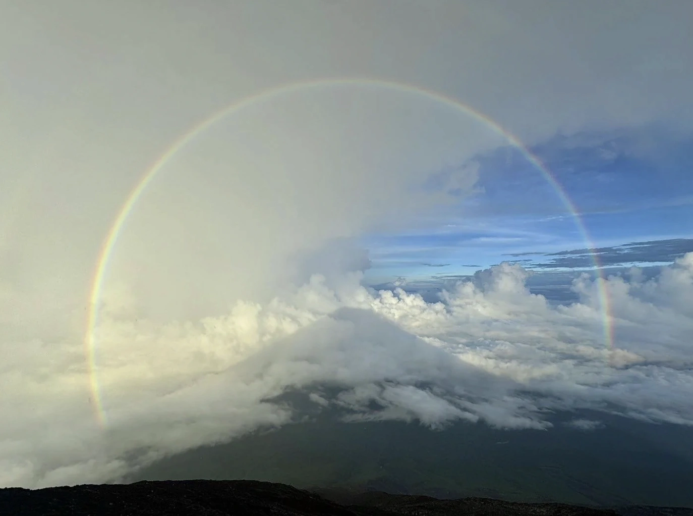 Tuesday's Top 32 Random Picks to Brighten Your Day