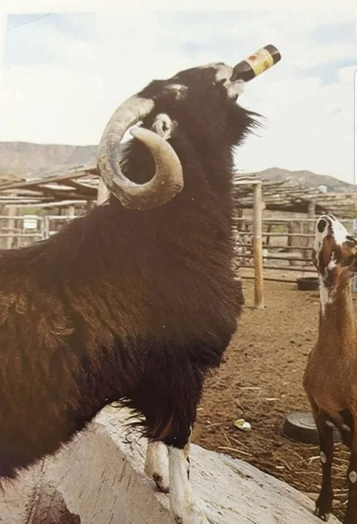 Tuesday's Top 32 Random Picks to Brighten Your Day