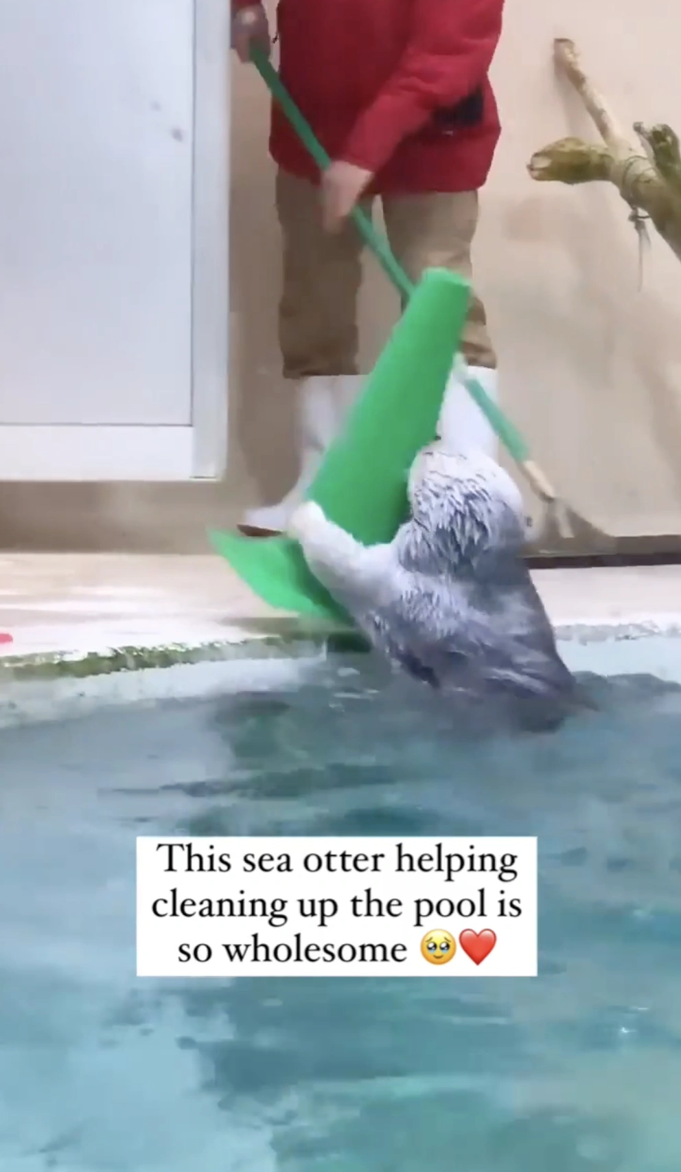 21 Uplifting Images and Memes Guaranteed to Brighten Your Day