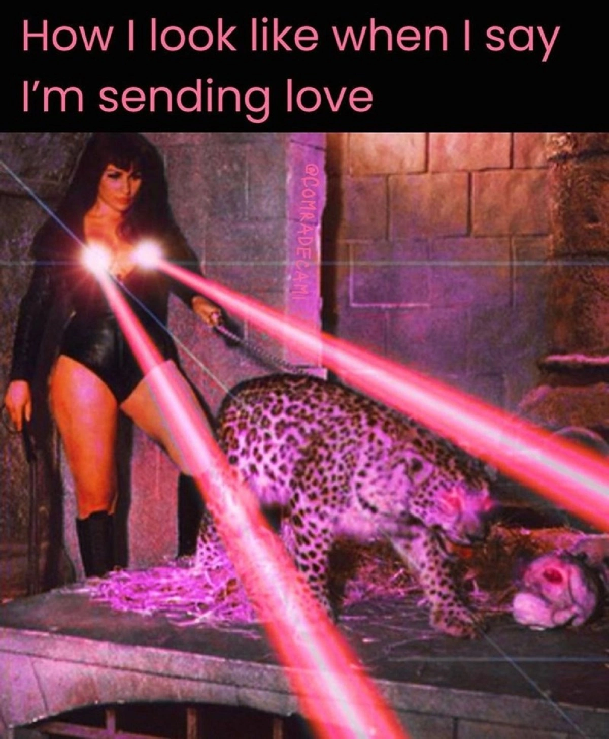 Monday Morning Motivation: 38 Hilarious Pics and Memes to Start Your Week Off Right