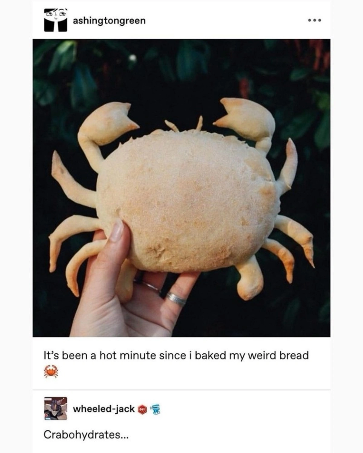 Monday Morning Motivation: 38 Hilarious Pics and Memes to Start Your Week Off Right