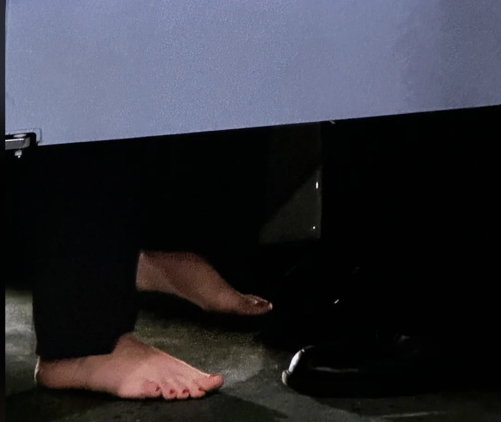 26 Entities and Objects You Hope to Avoid in a Shared Restroom