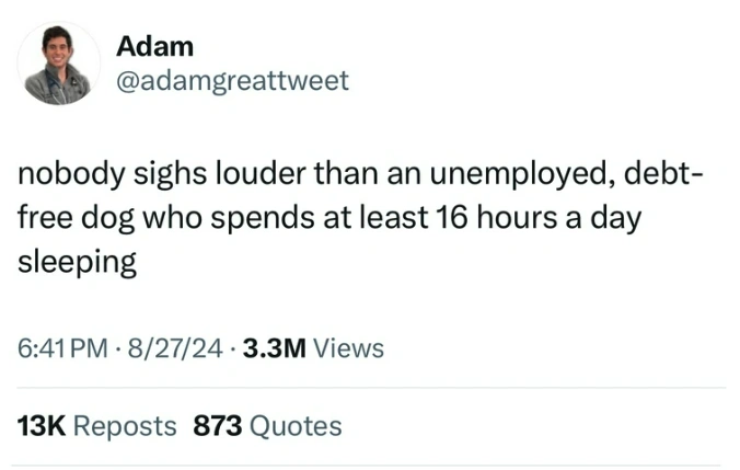 31 Hilarious Tweets That Flew Under Your Radar This Weekend