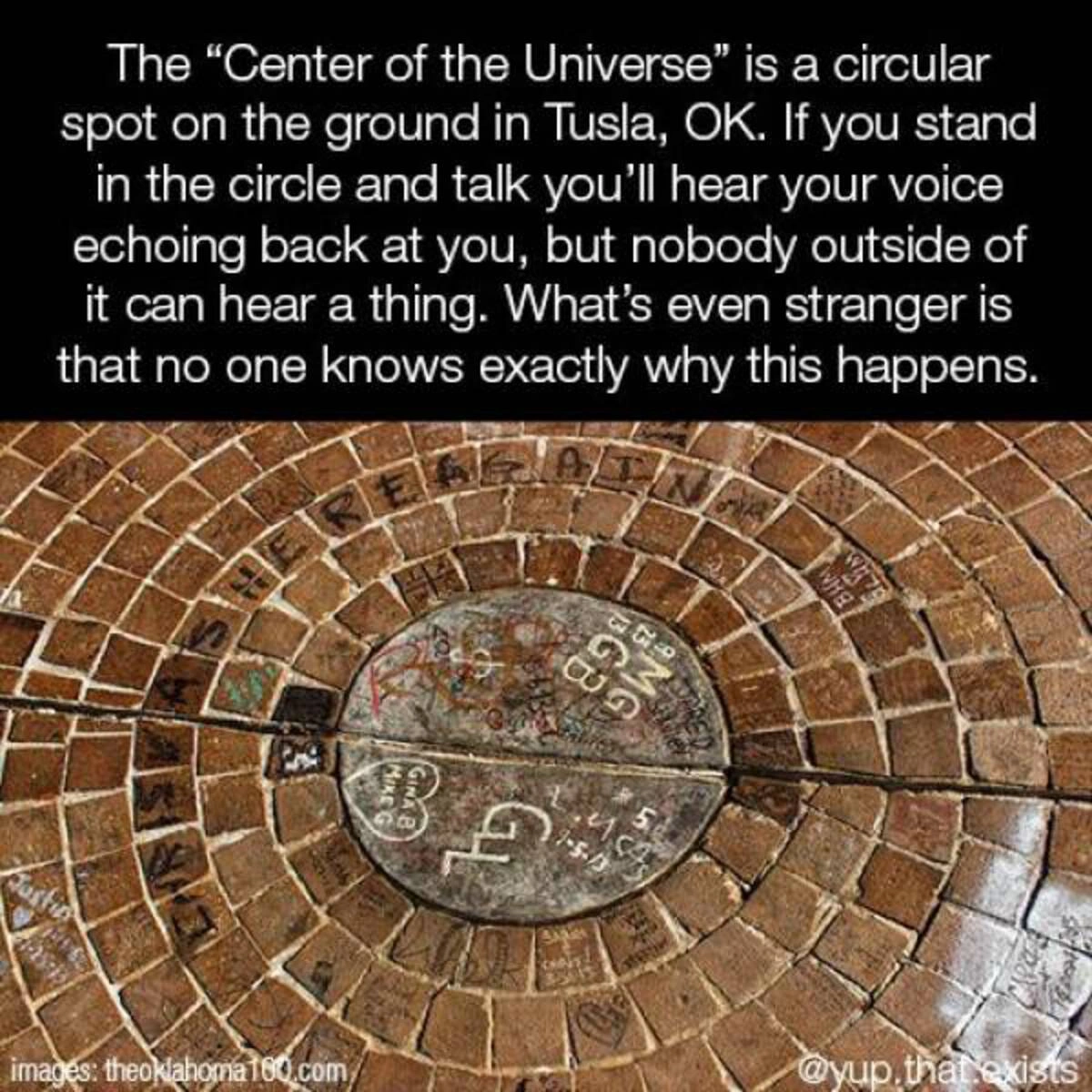 37 Whimsical Photos to Kickstart Your Thursday Morning