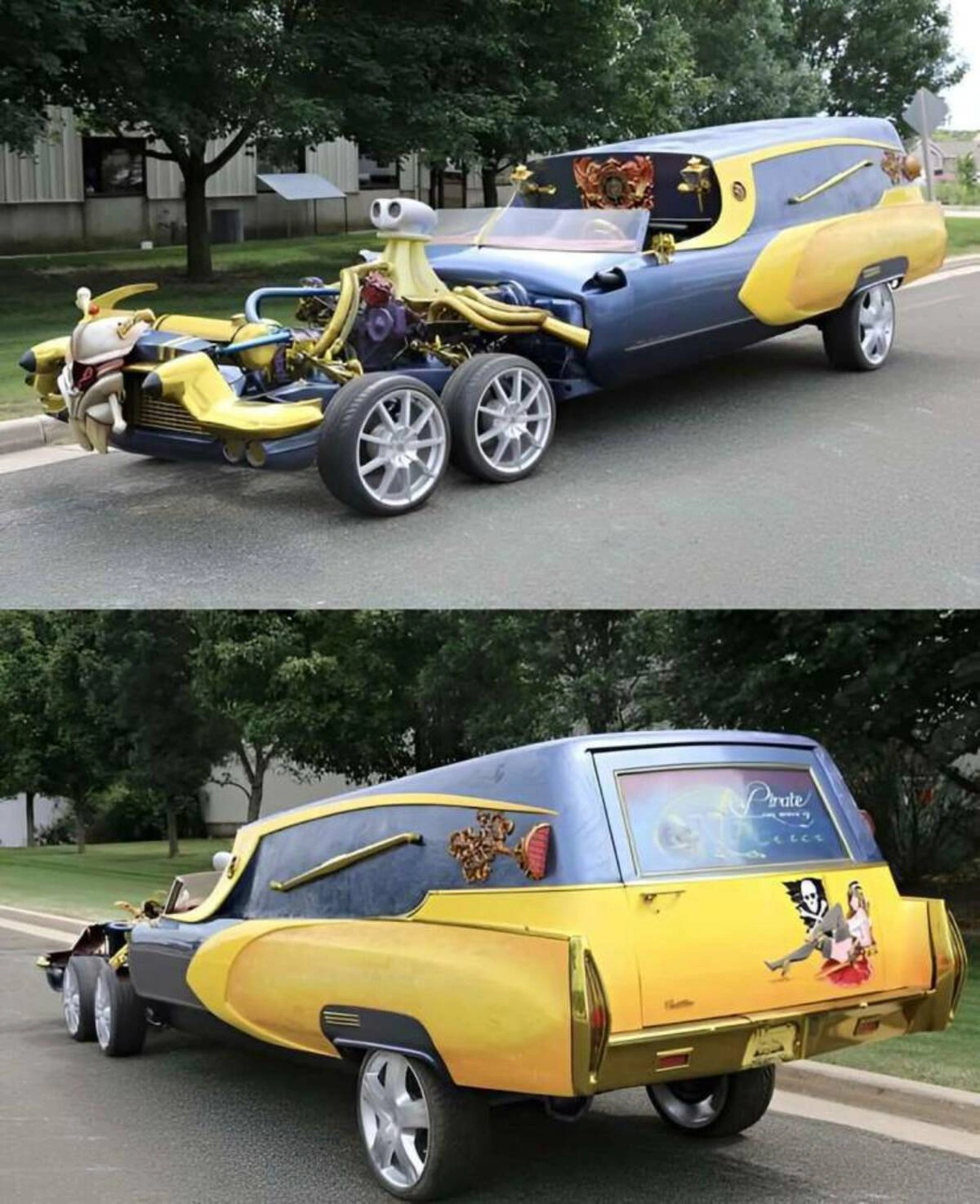 37 Whimsical Photos to Kickstart Your Thursday Morning